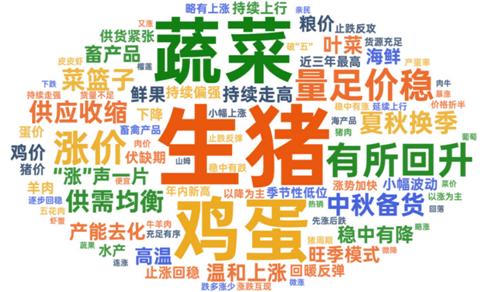蔬菜猪价词云截图