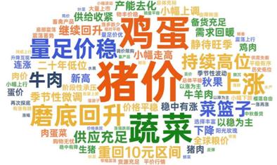 鸡蛋猪价词云截图
