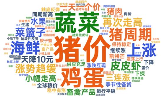 蔬菜猪价词云截图