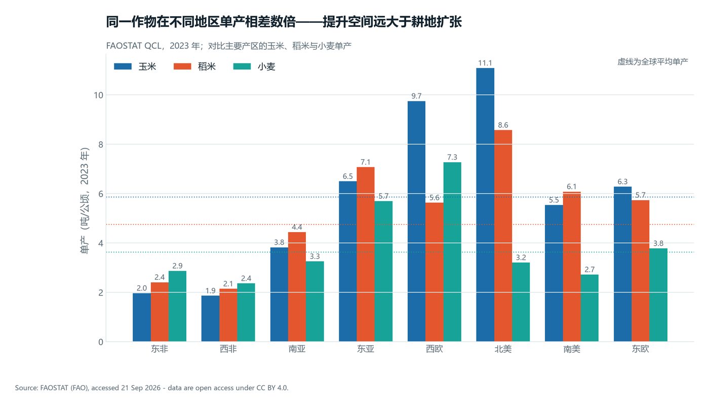 同一作物在不同地区的单产差距