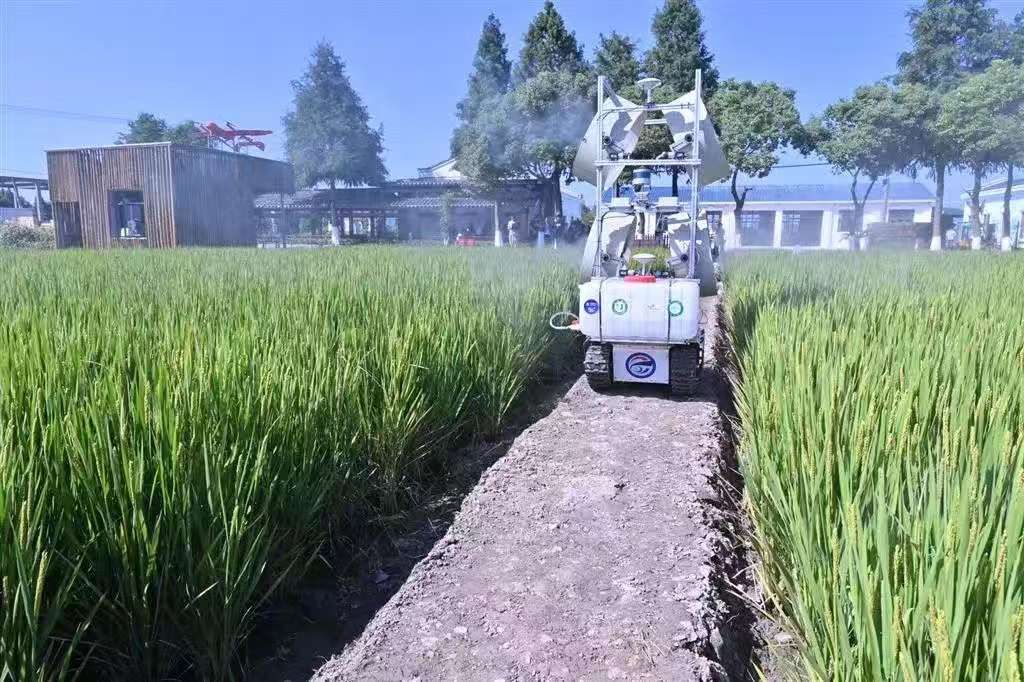 田间机器人作业